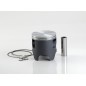 Piston coulé VERTEX - 24570 Piston coulé VERTEX - 24570