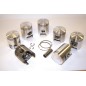 Piston POLINI - PN2040970