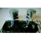 Kit piston WISECO Ø75mm