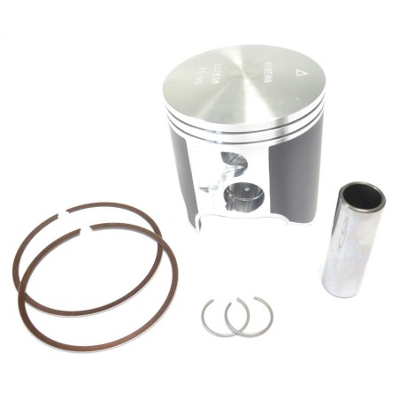 Piston coulé ATHENA - 254011