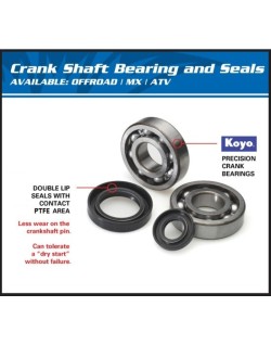 Kit roulements et joints spi de vilebrequin ALL BALLS