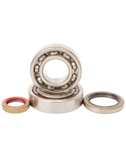 Kit roulements et joints spi de vilebrequin HOT RODS