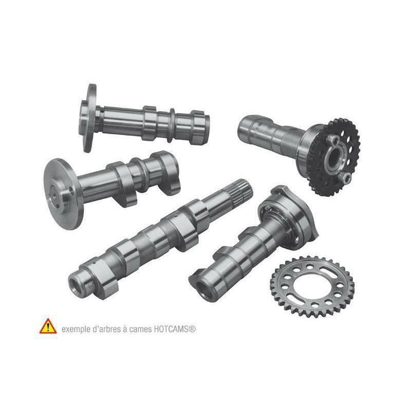 Arbre à cames échappement + admission HOT CAMS - Niveau 1 Yamaha YZ450F Arbre à cames échappement + admission HOT CAMS - Niveau 1 Yamaha YZ450F