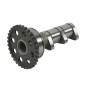 Arbre à cames admission HOT CAMS - Niveau 1 Yamaha YFZ450 Arbre à cames admission HOT CAMS - Niveau 1 Yamaha YFZ450