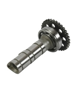 Arbre à cames admission HOT CAMS - Niveau 1 Yamaha YFZ450