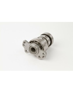 Arbre à cames HOT CAMS - Niveau 2 Yamaha YFM700R