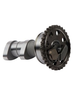 Arbre à cames échappement HOT CAMS - Niveau 1 Yamaha YZ250F
