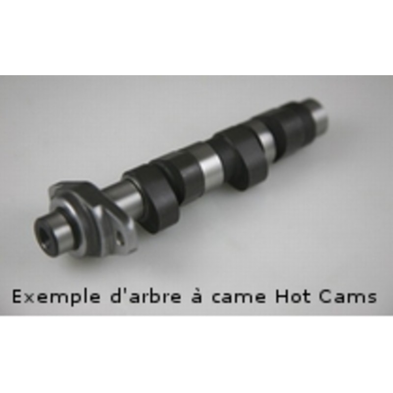 Arbre à cames HOT CAMS - Niveau 1 Polaris Arbre à cames HOT CAMS - Niveau 1 Polaris