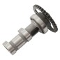 Arbre à cames échappement HOT CAMS - Niveau 1 Suzuki LT-R450 Arbre à cames échappement HOT CAMS - Niveau 1 Suzuki LT-R450
