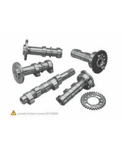 Arbre à cames admission HOT CAMS - Niveau 1 Yamaha YZF/WRF 250