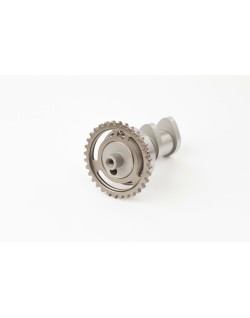 Arbre à cames échappement HOT CAMS - Niveau 2 Suzuki RM-Z250