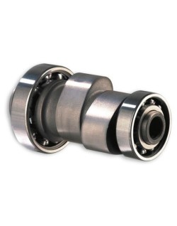Arbre à cames MALOSSI Power Cam - Yamaha maxiscooter 250