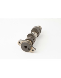 Arbre à cames HOT CAMS - Niveau 1 Yamaha YFM660R