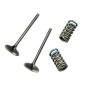Soupape d'échappement WÖSSNER acier - Yamaha YZ450F/WRF Soupape d'échappement WÖSSNER acier - Yamaha YZ450F/WRF