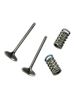 Soupape d'échappement WÖSSNER acier - Yamaha YZ450F/WRF
