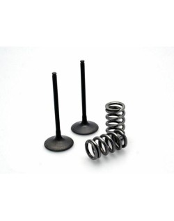 Kit conversion de soupapes d'admission PROX acier - KTM