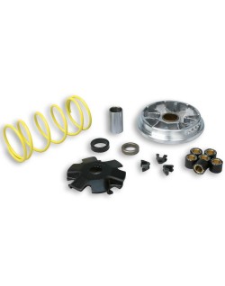 Variateur MALOSSI Multivar