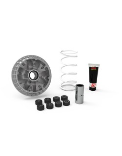  MALOSSI Variateur MALOSSI Multivar 2000