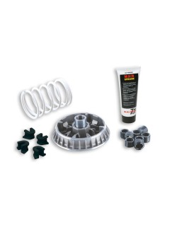 Variateur MALOSSI Multivar 2000
