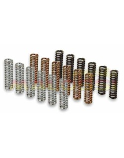 Jeu de ressorts racing Malossi pour embrayage origine Yamaha T-Max 530