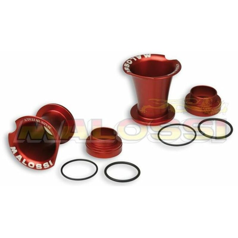 Cornets d'admission MALOSSI - 0516195 Cornets d'admission MALOSSI - 0516195