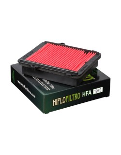 Filtre à air HIFLOFILTRO - HFA1933 (requiert deux filtres)