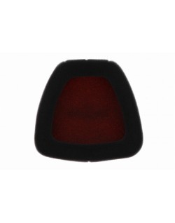 Filtre à air TWIN AIR résistant au feu - 152227FR