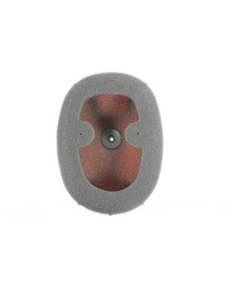 Filtre à air TWIN AIR kit Powerflow 791808 - 150225FR 791808 Honda CRF450R/RX