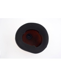 Filtre à air TWIN AIR kit Powerflow 791560 - 150220FR 791560 Honda CRF450R