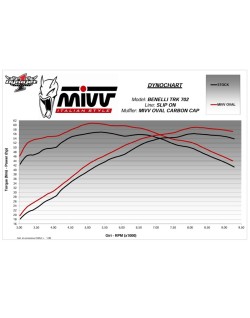Silencieux MIVV Oval