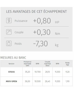 Silencieux MIVV GP inox noir casquette carbone Yamaha MT-03