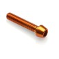 Vis BTR conique LIGHTECH M6 x 25 Ergal or