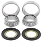Kit roulements de colonne de direction ALL BALLS Ducati Monster 600 Kit roulements de colonne de direction ALL BALLS Ducati Monster 600