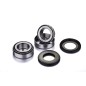 Kit roulements de colonne de direction FACTORY LINKS - Honda CR85R/CRF150R/XR