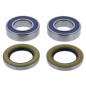 Kit roulements de roue avant ALL BALLS Kit roulements de roue avant ALL BALLS