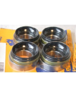 Kit de roulements et joints de roue avant PIVOT WORKS