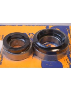 Kit de roulements et joints de roue arrière PIVOT WORKS