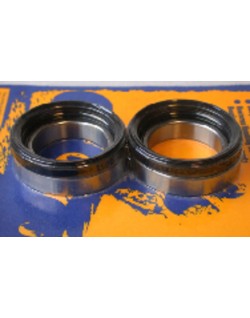 Kit de roulements et joints de roue arrière PIVOT WORKS