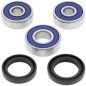 Kit roulements de roue arrière ALL BALLS Honda CBR125R/MSX125 Kit roulements de roue arrière ALL BALLS Honda CBR125R/MSX125