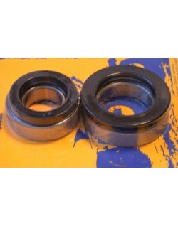 Kit de roulements et joints de roue arrière PIVOT WORKS