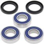 Kit roulements de roue arrière ALL BALLS Suzuki RM125/250 Kit roulements de roue arrière ALL BALLS Suzuki RM125/250