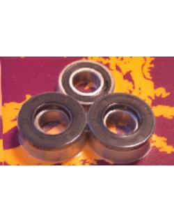 Kit de roulements et joints de roue arrière PIVOT WORKS