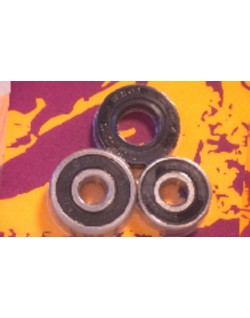 Kit de roulements et joints de roue arrière PIVOT WORKS