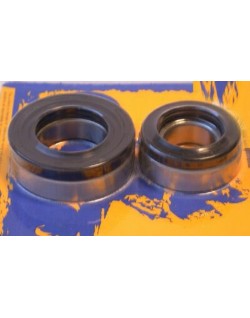 Kit de roulements et joints de roue arrière PIVOT WORKS