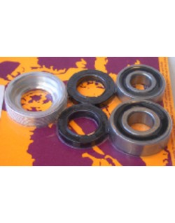 Kit de roulements et joints de roue arrière PIVOT WORKS