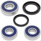 Kit roulements de roue arrière ALL BALLS Yamaha FJ1100/1200 / FZR1000 Exup Kit roulements de roue arrière ALL BALLS Yamaha FJ1100/1200 / FZR1000 Exup