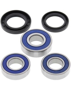 Kit roulements de roue arrière ALL BALLS Suzuki DR-Z400/E/S/SM