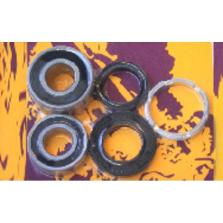 Kit de roulements et joints de roue arrière PIVOT WORKS