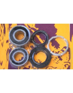 Kit de roulements et joints de roue arrière PIVOT WORKS