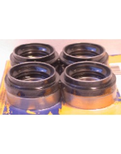 Kit de roulements et joints de roue arrière PIVOT WORKS
